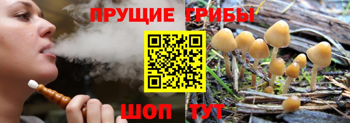 Галлюциногенные грибы мухоморы Зеленокумск