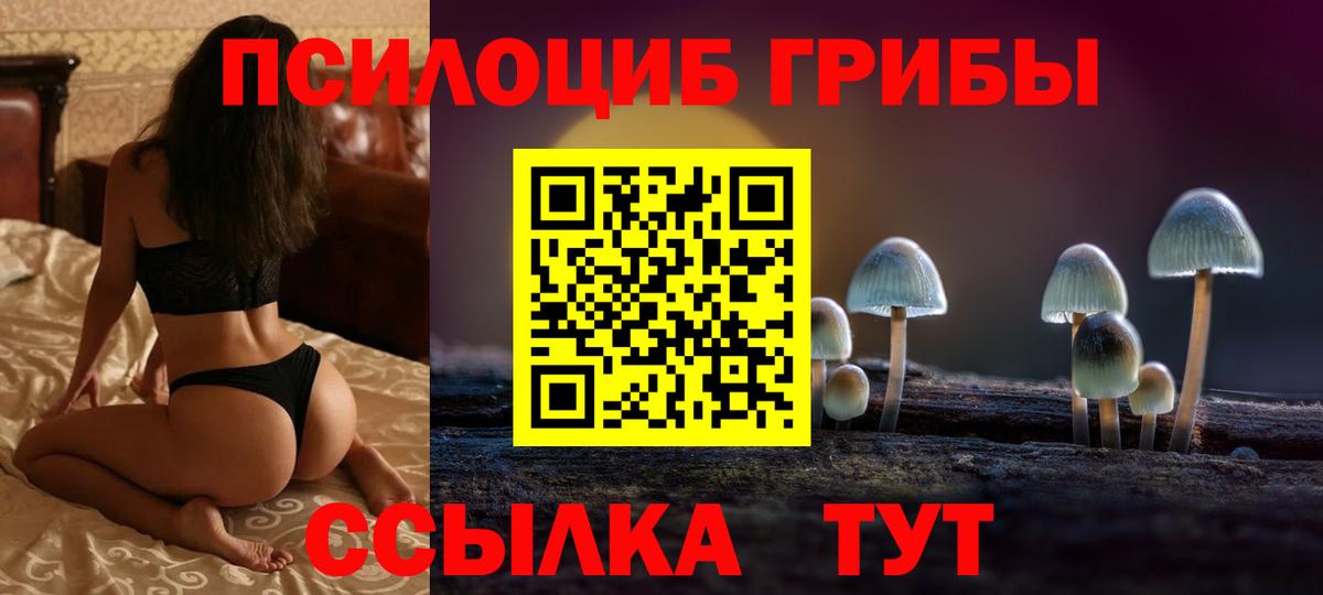 Зеленокумск  Галлюциногенные грибы ЛСД  Вход с VPN 